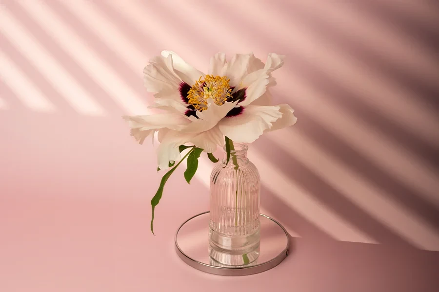 Cilt Tipinizi Keşfedin!